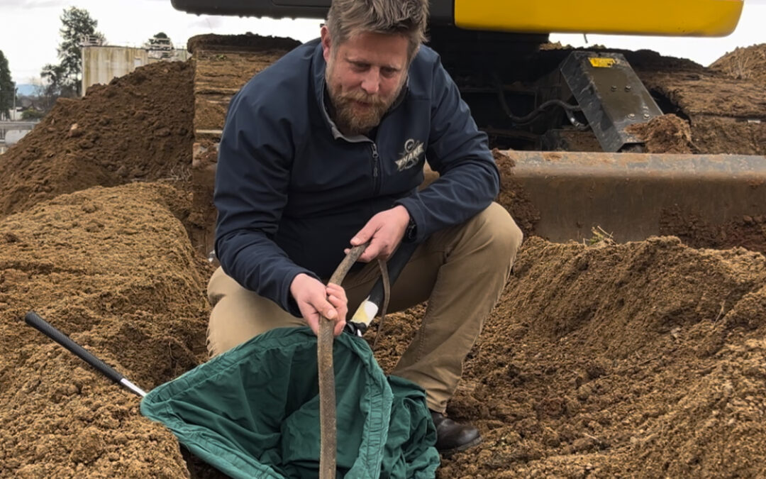 Natureculture: exploring the biological, ecological and economic dimensions of the social world